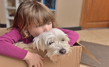 Moving with pets and children