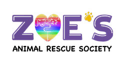 https://dev.bigsteelbox.staging.poundandgrain.ca/content/uploads/2019/10/Zoes-animal-rescue-edmonton-logo-250.jpg